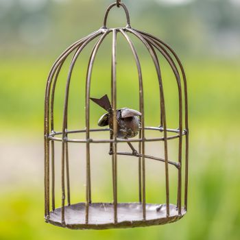 Vogelkooi